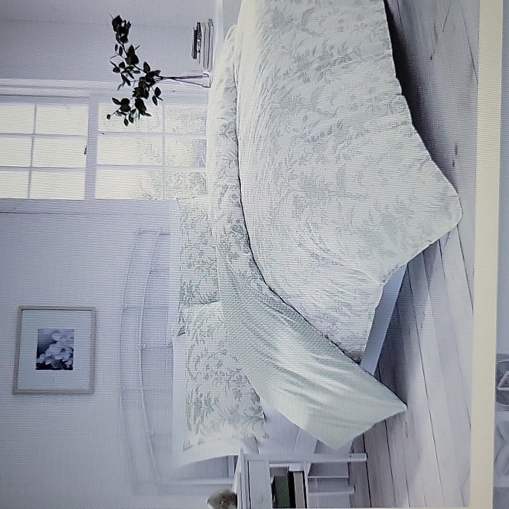 Laura Ashley Home Natalie sage green white floral twin duvet cover 5 pc set New